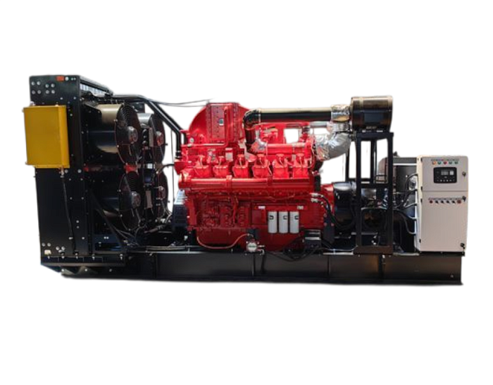 Газовая электростанция CTG 1000CG
