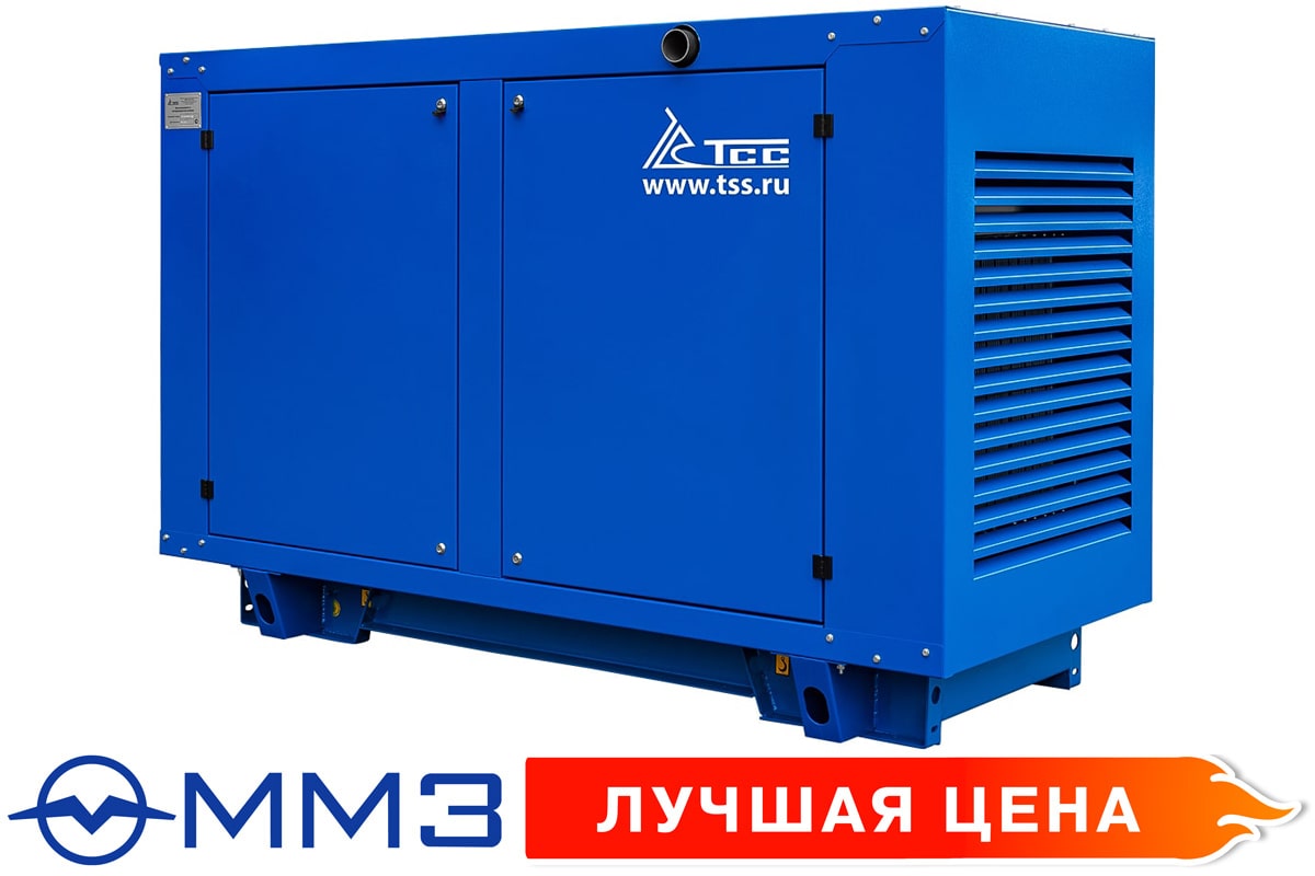 Дизельная электростанция ТСС АД-30С-Т400-1РПМ1 под капотом